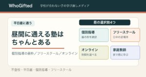 昼間に通える塾はちゃんとある。個別指導・フリースクール・オンライン・家庭教師の4つの選択肢図